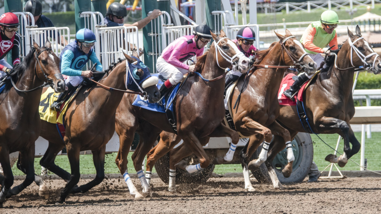 How to Choose Trusted Experts For Horse Race Tips