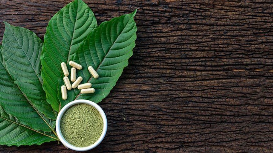 Kratom: What are the Likely Risks and Benefits?
