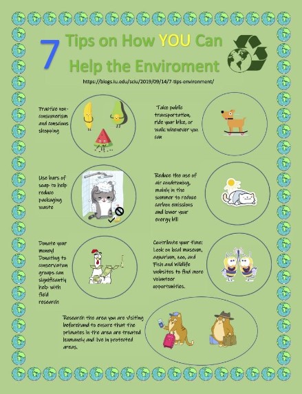 What Can You Do To Contribute To A Better Environment?