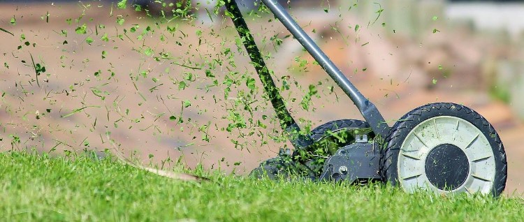 How To Create A Customised Lawn Care Schedule